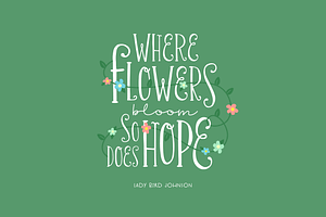 Chirp & Blossom Font