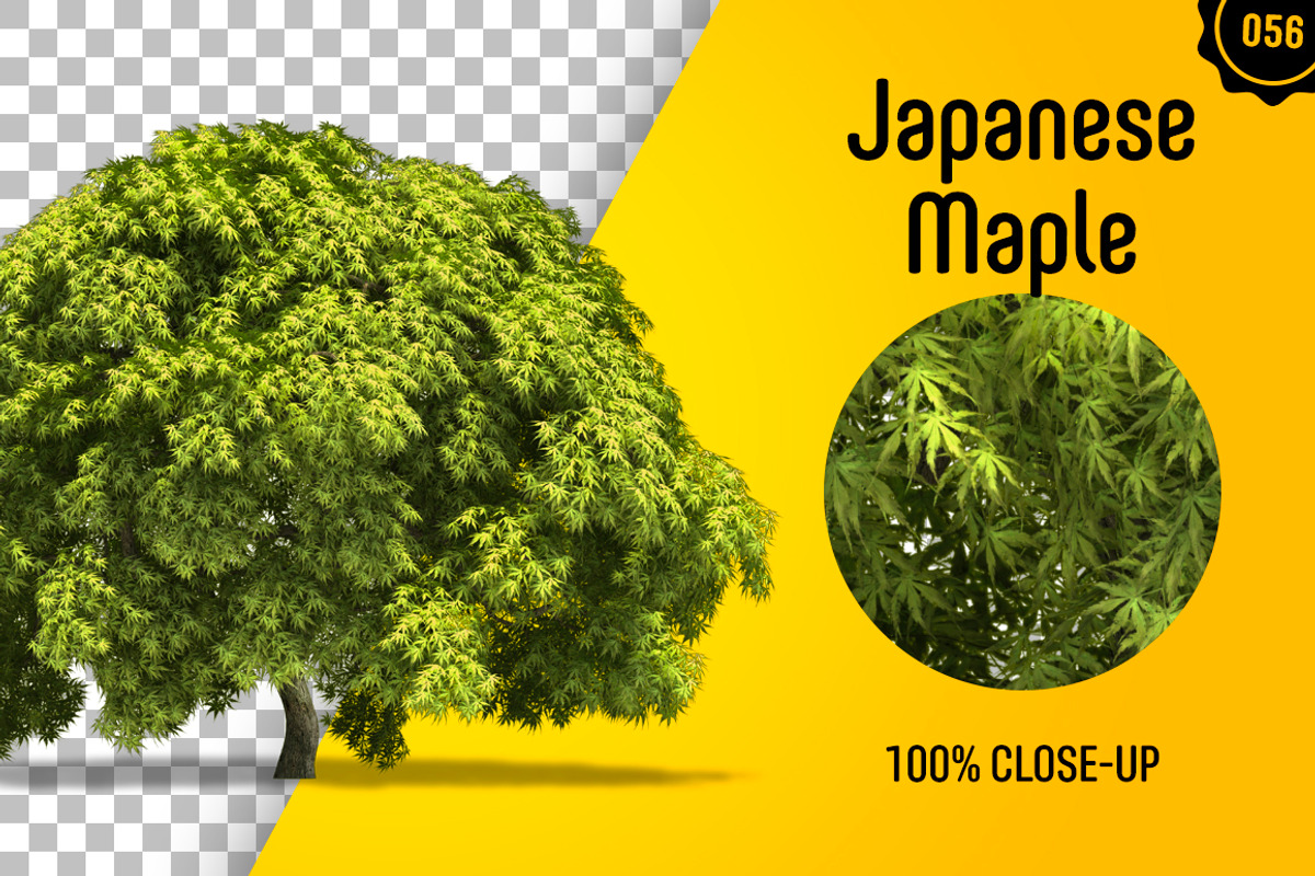 CUT OUT TREES - 60 PCS BUNDLE, a Packaging Mockup by 3DSTORE (Photo 57 of 63)