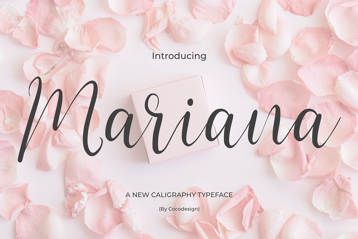 Mariana, a Serif Font by cocodesign (Photo 1 of 7)