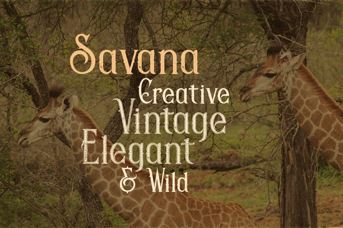 Savana - Display Font preview 3