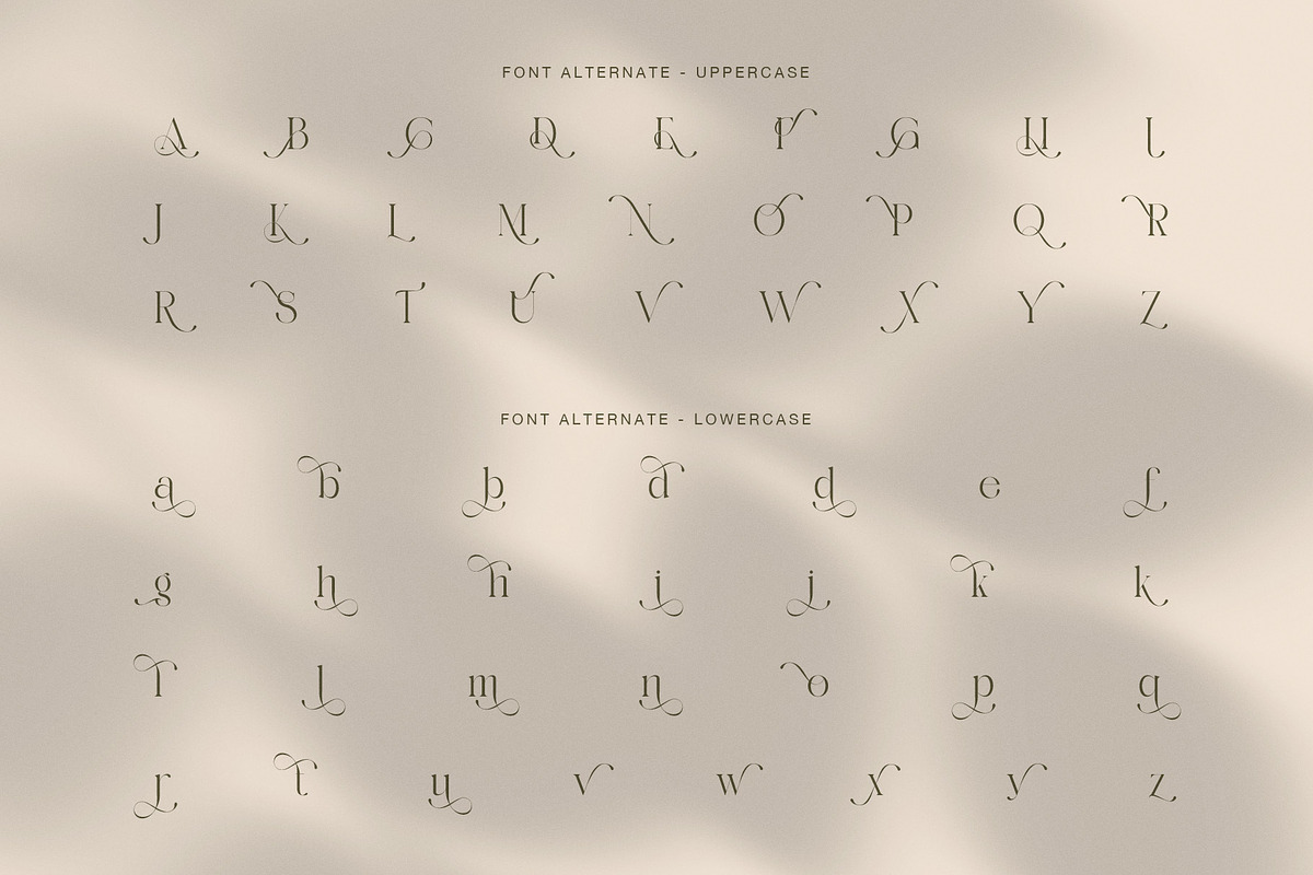 Amilea Elegant Serif Font, a Serif Font by Graphicxell (Photo 7 of 7)
