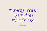 Vestige Harmony, a Serif Font by Attract Studio (Thumbnail 12 of 14)