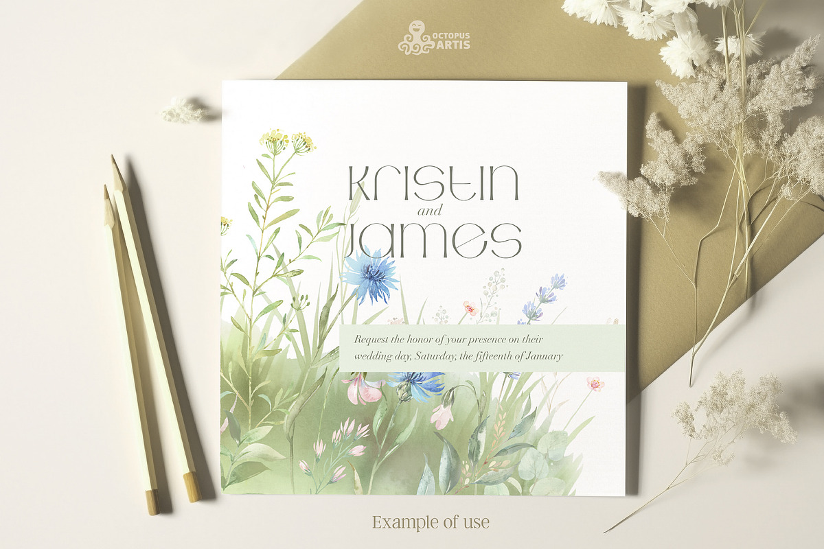 Meadow. Floral Borders & Elements, a Decorative Illustration by OctopusArtis (Photo 6 of 8)