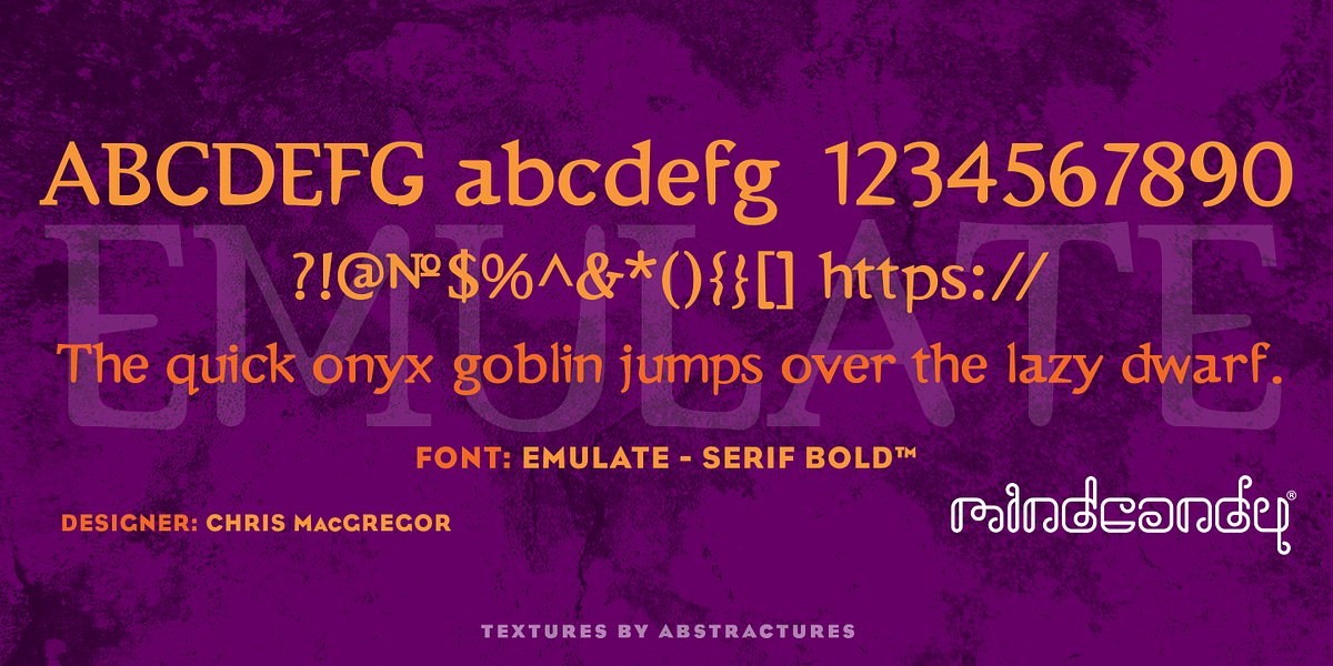 Emulate Serif™, a Serif Font by MINDCANDY (Photo 3 of 4)