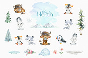 The North. Watercolor Collection, an Animal Illustration by StarJam (Thumbnail 6 of 8)