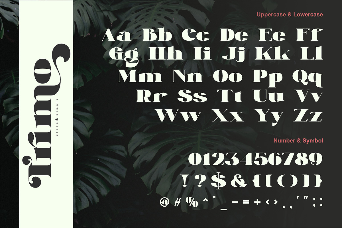 Trimo, a Serif Font by Khoir (Photo 9 of 12)