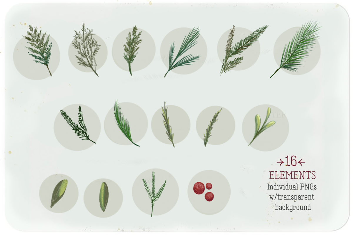 Pine Bough Elements, an Illustration by KLUGE+CO (Photo 2 of 6)