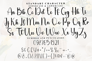 Napkins, a Handwritten Font by FreshTypeINK (Thumbnail 8 of 8)