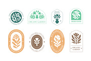 Elegant Botanical Floral Design Kit, a Decorative Illustration by Lettering_Logo (Thumbnail 3 of 15)