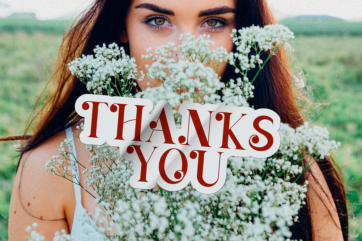 Dinah Glamour / Regular Font, a Serif Font by Anastasia Cuza (Photo 15 of 15)