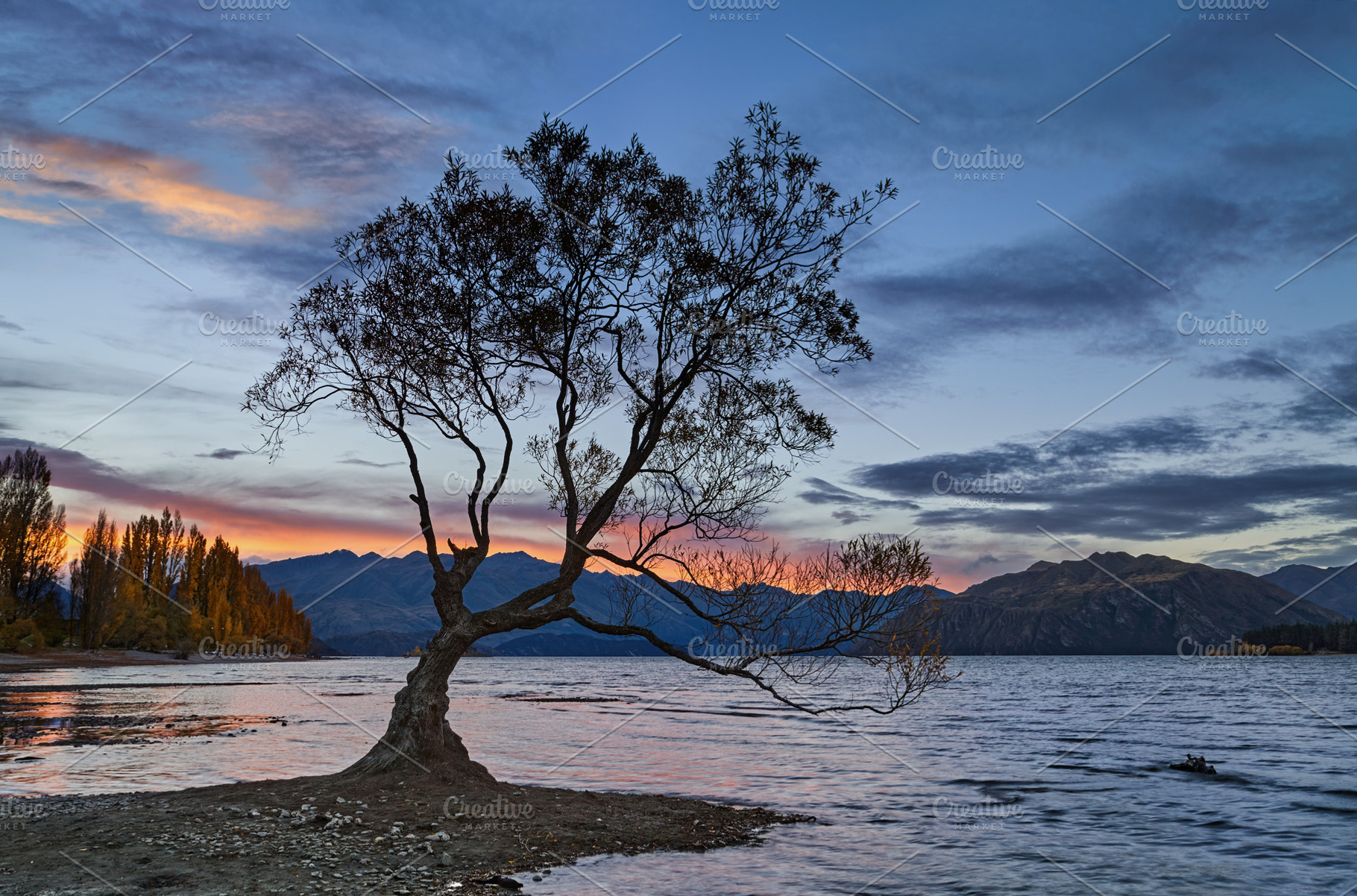 The Wanaka tree at sunset, a Nature Photo by Shop Name