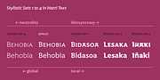 Harri Text, a Sans Serif Font by Blancoletters (Thumbnail 13 of 14)