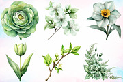 Watercolor Green Blossom Spring PNG, an Illustration by Canvas Craft (Thumbnail 2 of 4)