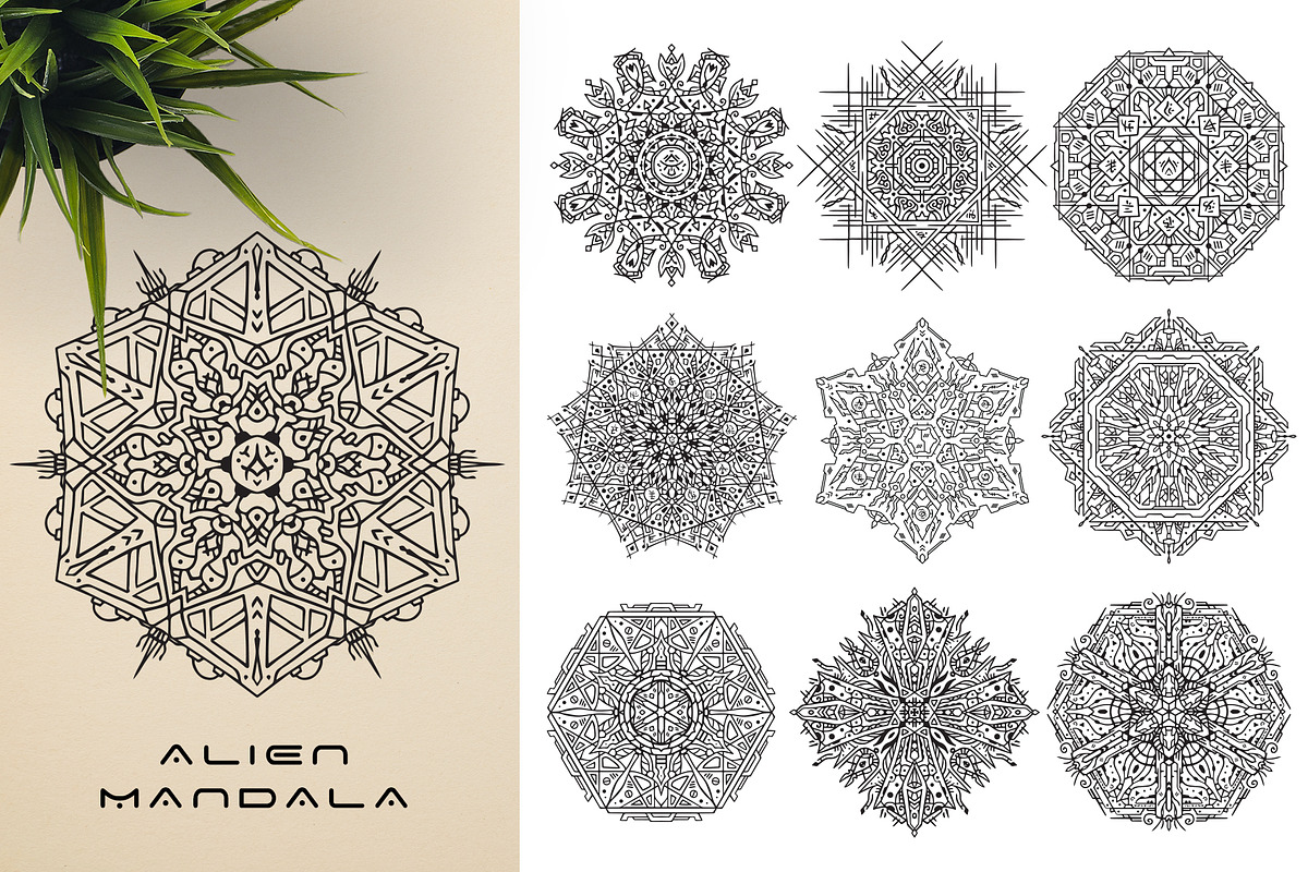 300 Vector Mandala Ornaments, a Decorative Illustration by pixaroma (Photo 17 of 49)