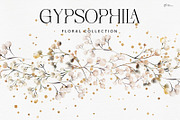 Gypsophila - watercolor flowers, an Object Illustration by ollalya (Thumbnail 1 of 8)