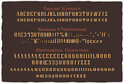 Western Whiskey, a Script Font by VozzyStock (Thumbnail 2 of 9)