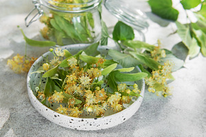 Linden flowers preparing for herbal tea infusion, a Nature Photo by Olena Rudo