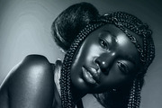 Silvershine Photoshop Action preview 2