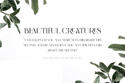 Vallura - Serif Display Font, a Sans Serif Font by Vesvocrea (Thumbnail 3 of 9)
