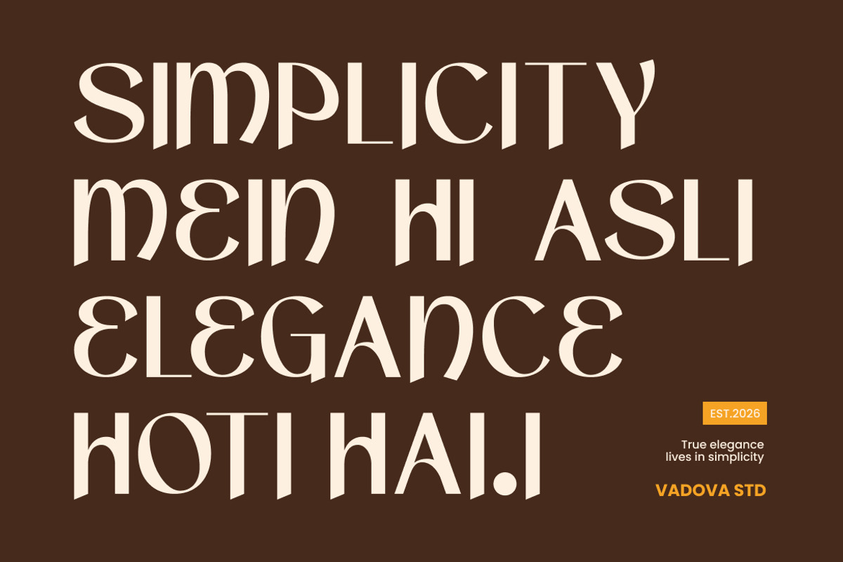 Narvaya Modern Hindi Style Font, a Sans Serif Font by Vadovastd (Photo 7 of 9)