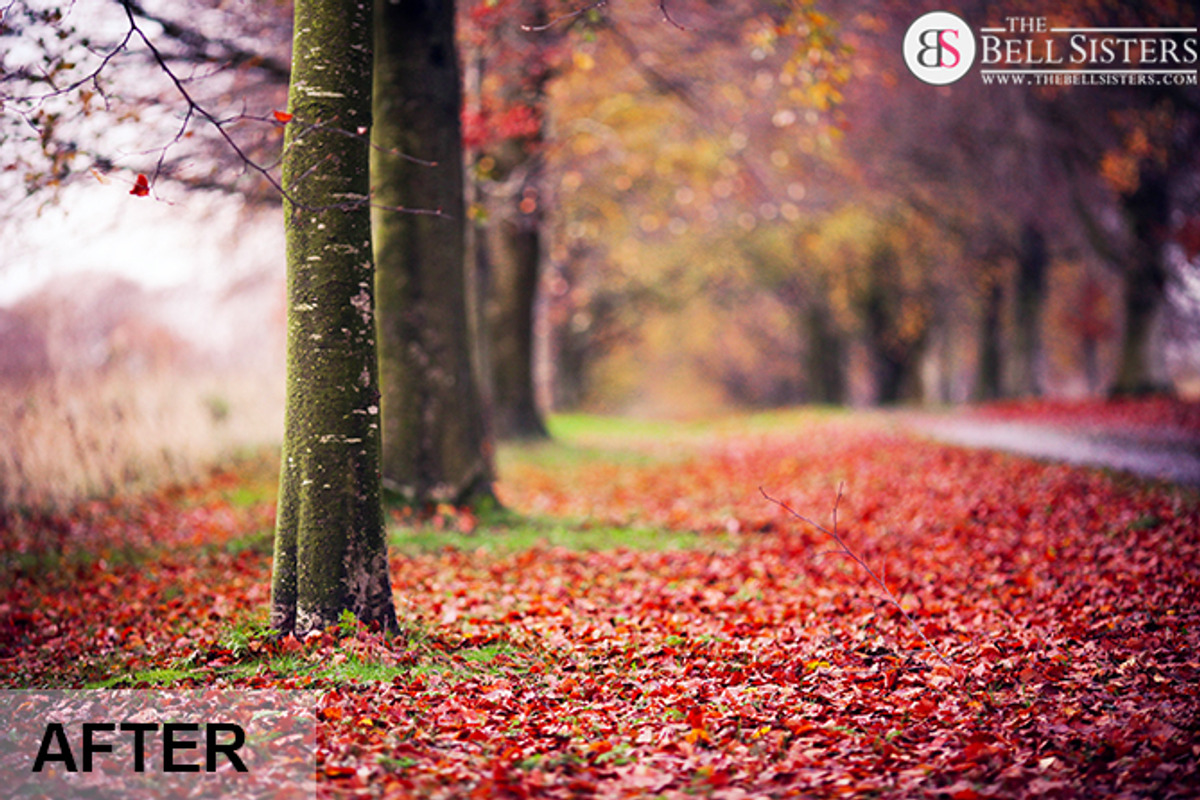 Autumn Lightroom Preset preview 7