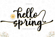 Hello Spring Script Font, a Script Font by moriztype (Thumbnail 1 of 10)