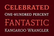 Mr Darcy, a Serif Font by insigne (Thumbnail 2 of 5)