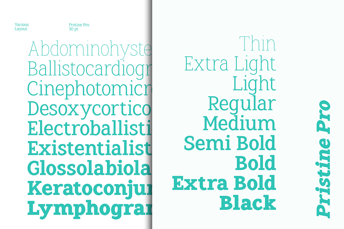 Pristine Pro - Elegant Slab Family, a Slab Serif Font by Azcreative Studio (Photo 5 of 16)