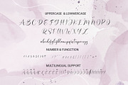 Sandara Script- A Modern Calligraphy, a Script Font by RHD Creative Studio (Thumbnail 11 of 12)