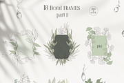PLANTS & HERBS illustrations set, a Healthcare Illustration by Yuliia Lashevska (Thumbnail 9 of 14)