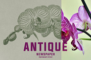 ANTIQUE Newspaper Vintage PSD Effect, a Templates & Theme by velvetmade.designs (Thumbnail 1 of 12)