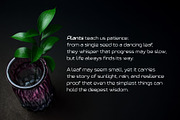Asmora, a Sans Serif Font by almazstudio (Thumbnail 6 of 9)