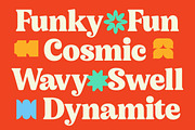 Noira Bilamo Retro Groovy Serif, a Serif Font by timelesstype.co (Thumbnail 4 of 15)