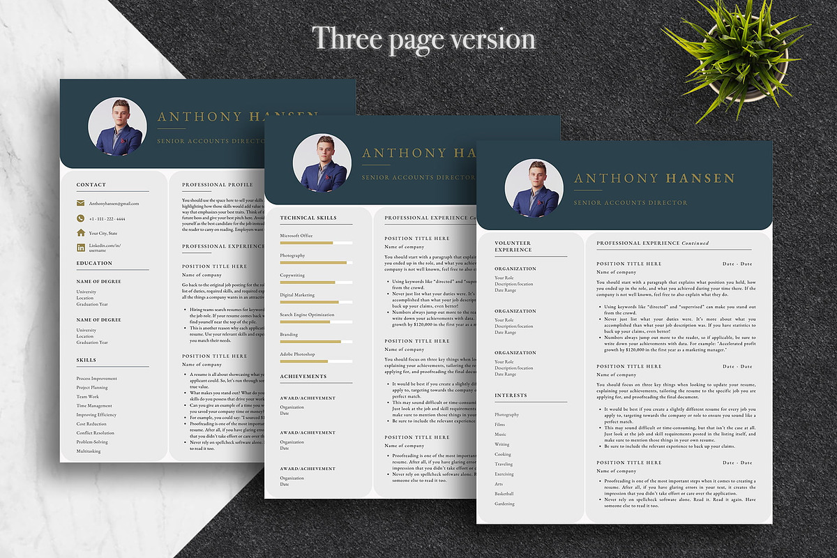 Professional Canva CV Template Pack, a Resume Template by Lux Resume (Photo 3 of 9)