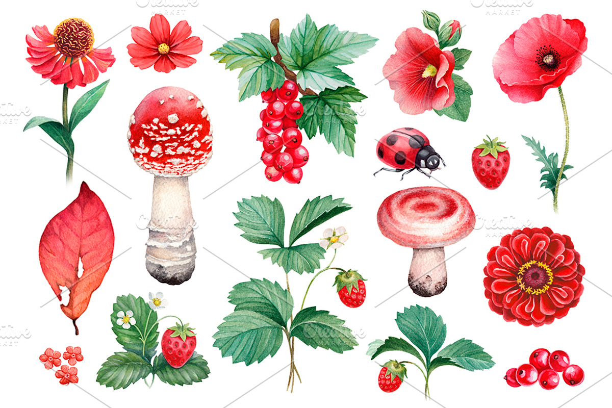 Red summer nature illustrations kit, a Texture Illustration by Sundra (Photo 2 of 7)