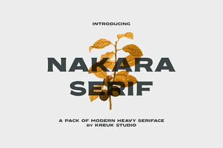 Nakara Serif | Modern Seriface, a Serif Font by Kreuk Studio