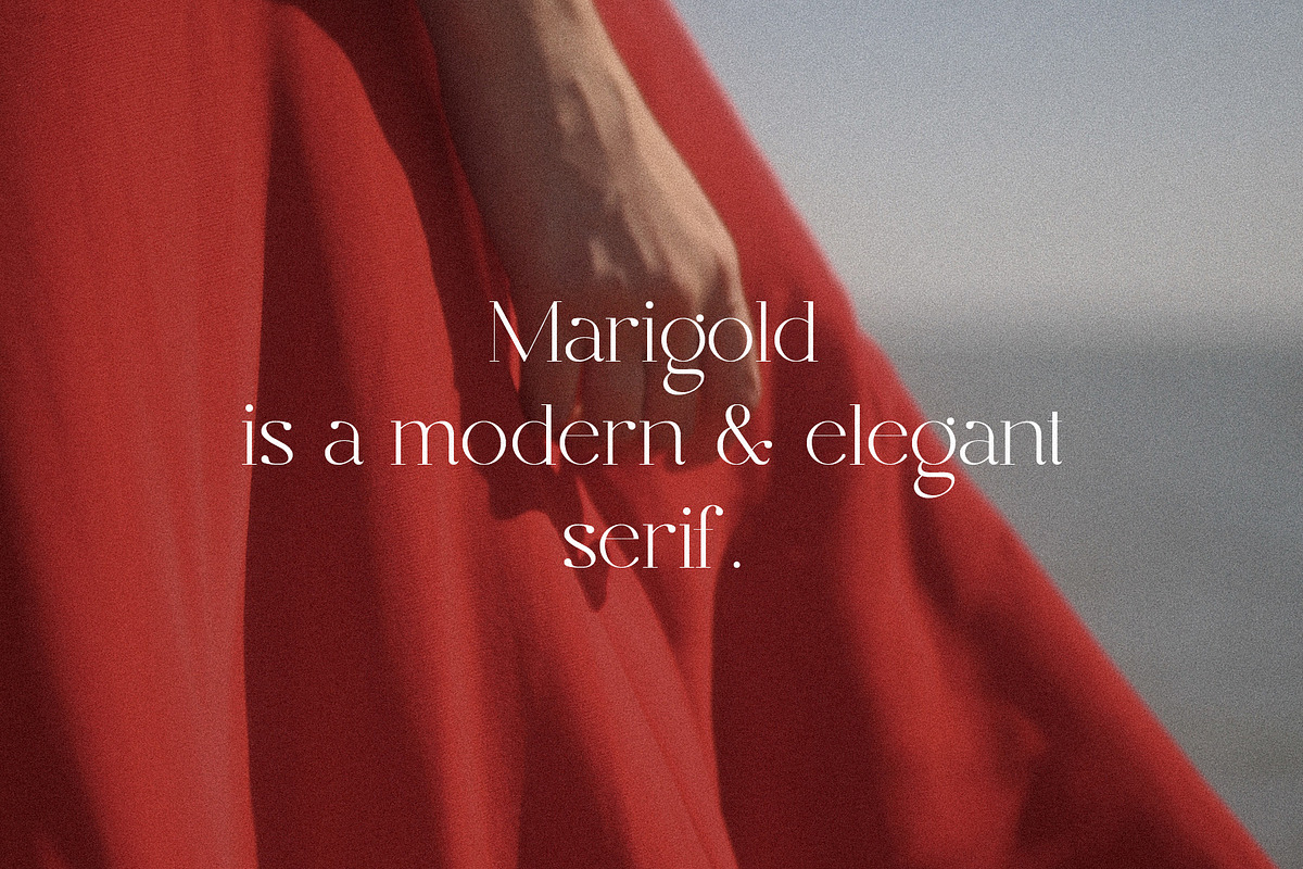 Marigold - Modern Serif, a Serif Font by Mikhail Kitsune (Photo 2 of 9)