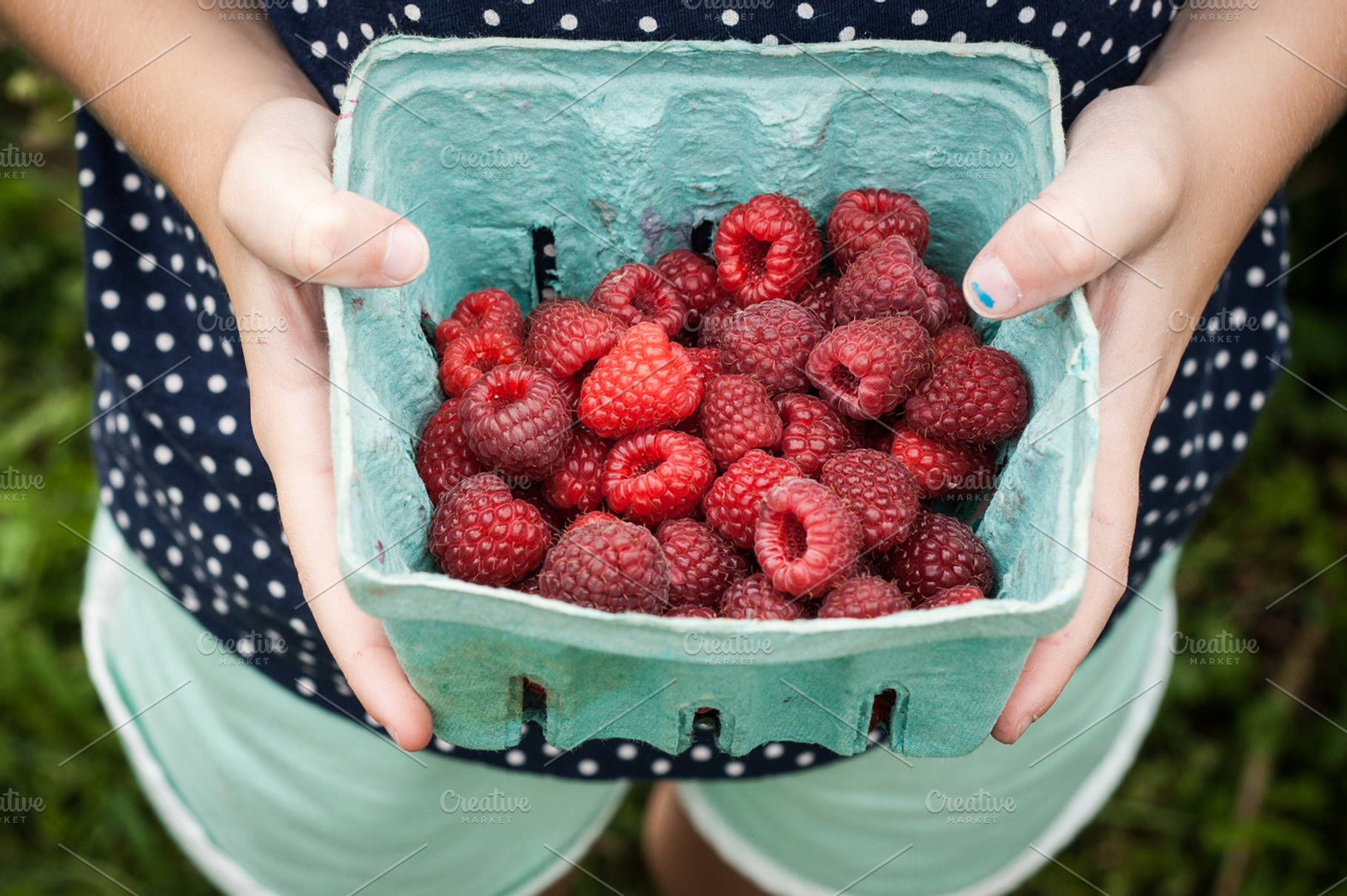 Raspberry Picking
