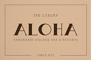 50% OFF Boldatin Font Family, a Slab Serif Font by Patria Ari (P4tcreativa) (Thumbnail 8 of 12)