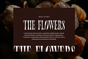 Toughe Unique Serif Font, a Serif Font by Perfectype (Thumbnail 2 of 8)