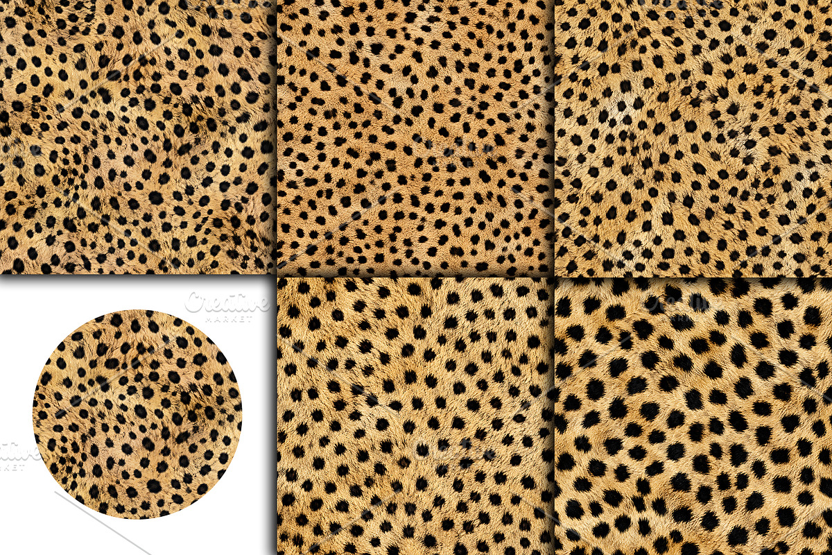 Realistic Cheetah Print Fur Texture, a Pattern Graphic by Artonix (Photo 4 of 4)