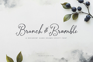 Branch & Bramble Calligraphy Font, a Script Font by Callie Rian & Co.