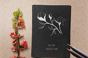 Hand Sketched Magnolia, a Decorative Illustration by Solana (Thumbnail 7 of 10)