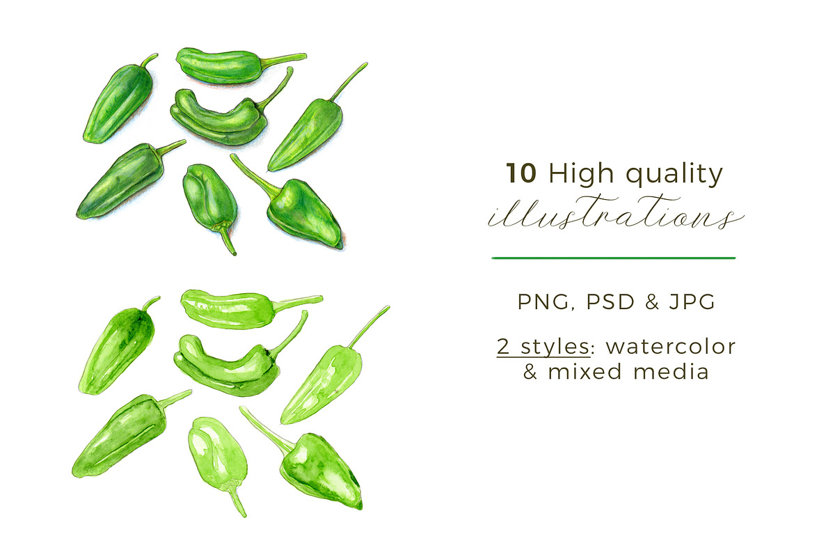 Hot Chili Peppers | 5 Cliparts, a Food Illustration by Miriam Figueras (Photo 2 of 4)