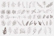 Winter & Christmas Plants,Procreate, a Brush Add-On by Sense Library (Thumbnail 2 of 11)