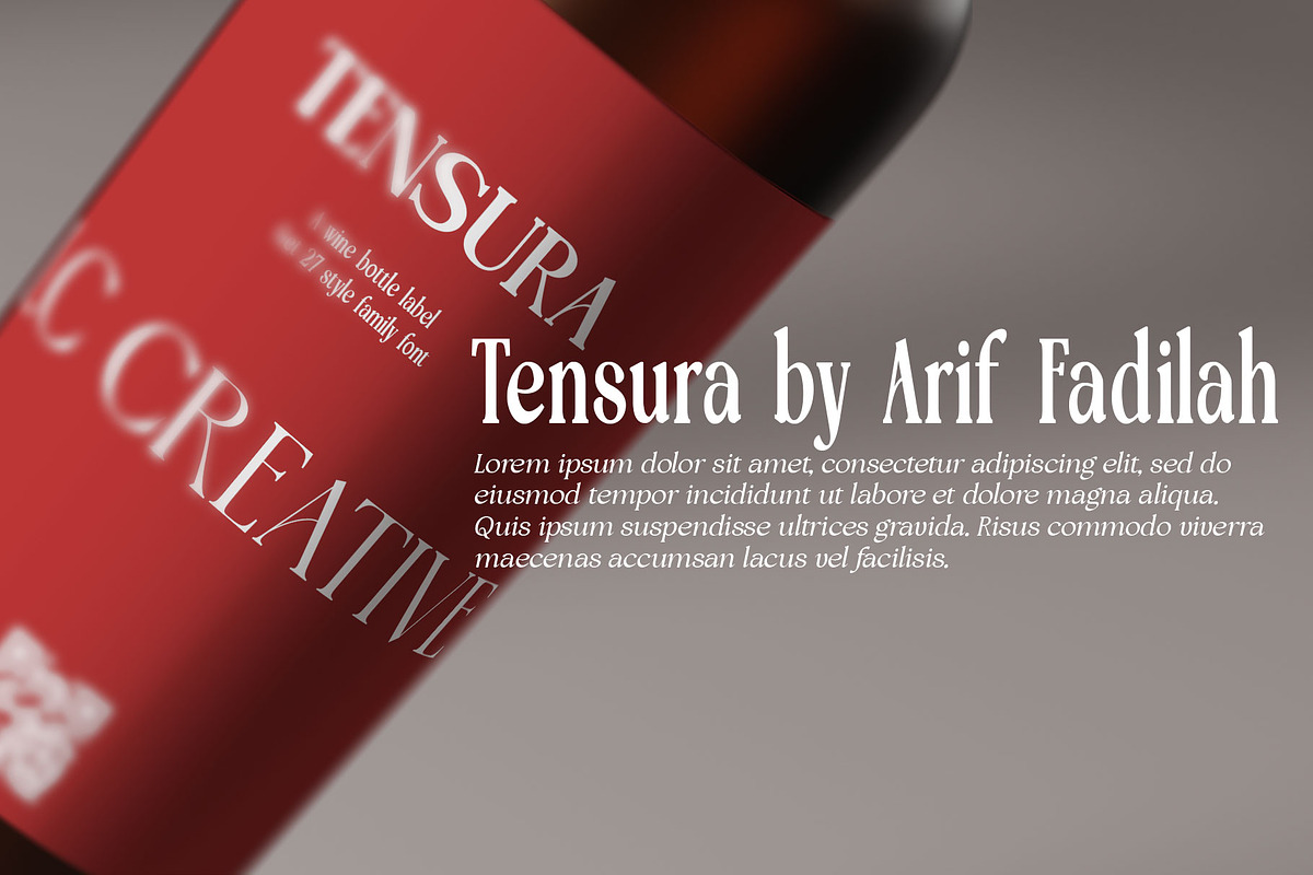 Tensura, a Serif Font by LuhopCreative (Photo 5 of 21)