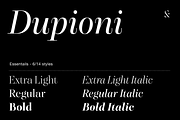 Dupioni - 6 font family, a Serif Font by Silktype (Thumbnail 1 of 21)