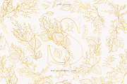 Line Art & Watercolour Greenery, an Illustration by January Bloom (Thumbnail 3 of 22)