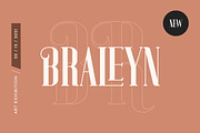 Zanie Brovia Display Serif Font, a Serif Font by UICreative (Thumbnail 3 of 6)