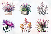 Ironweed Flower Watercolor Clipart, an Illustration by RobertsArt (Thumbnail 7 of 8)